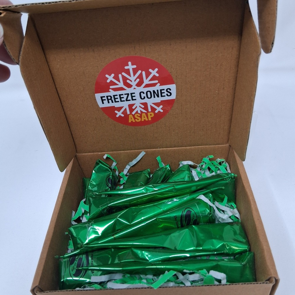 The Henna Guys 100% Natural Henna Cones for Hair Coloring 12 Pack Exp 2026